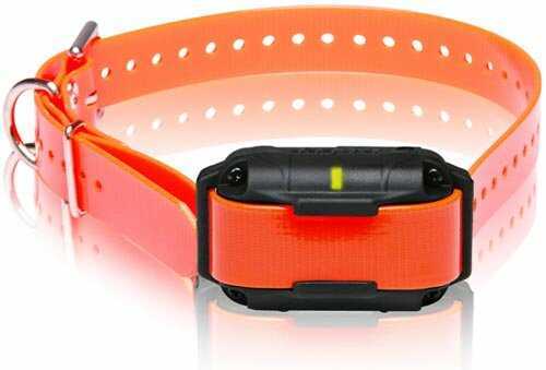 Dogtra Surestim H Plus Rx Orange Extra Collar